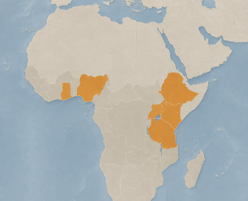 Mali ulozi, ogromno tržište: Kako klađenje osvaja mlada afrička tržišta